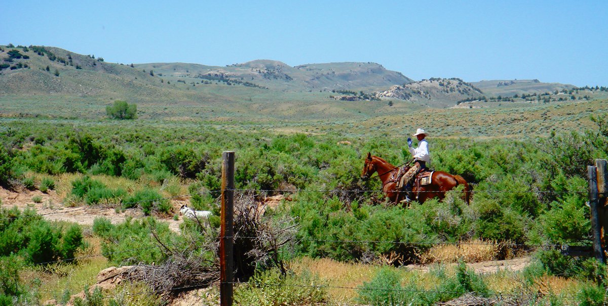 Property photo 19 - 92,312+/- Acres Offered in 14 Tracts